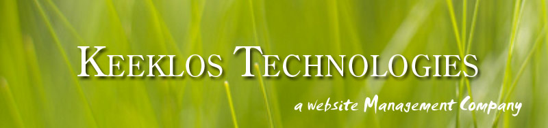 website design